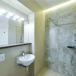 Slovenian Art Story Apartment
