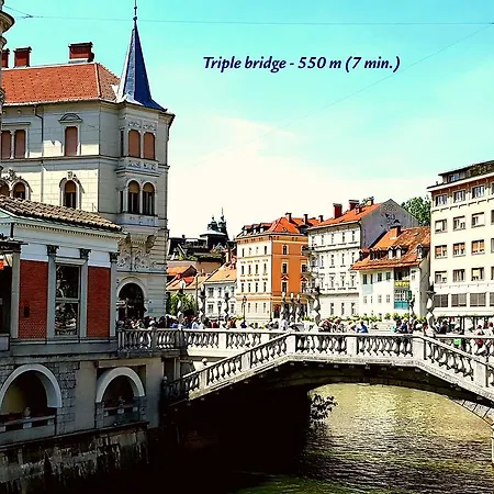 Апартаменты Slovenian Art Story *